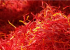 THE QUALITY OF SAFFRON